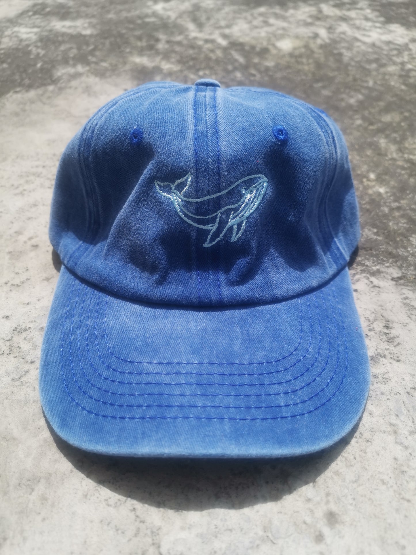 Gorra ballena del Pacífico