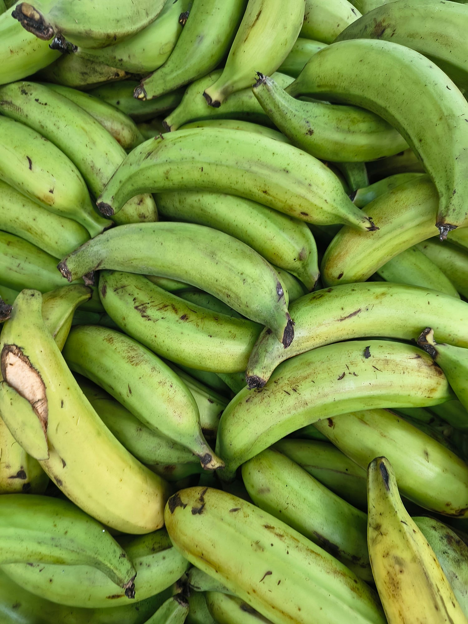 Ofertas irresistibles