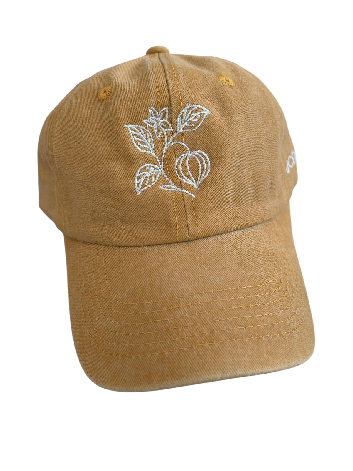Gorra Uchuva